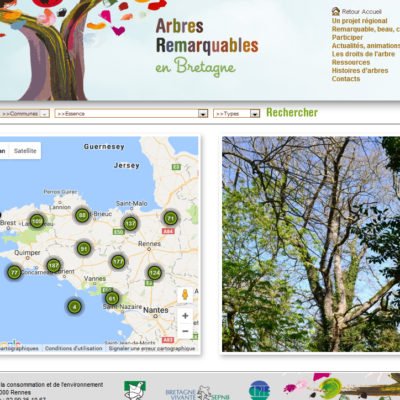 Arbres Remarquables en Bretagne