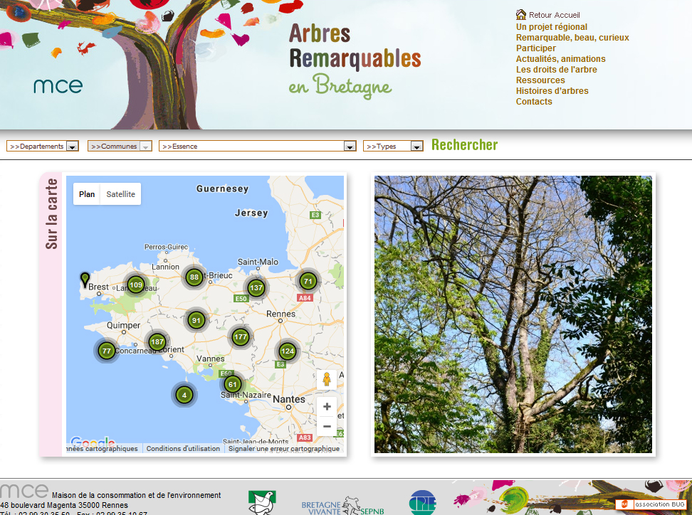 Arbres Remarquables en Bretagne